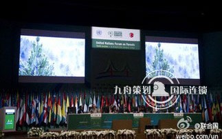 The twelfth session of the United Nations Forum on Forests was held in New York